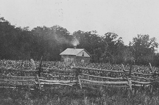 Walter DuPont's cabin